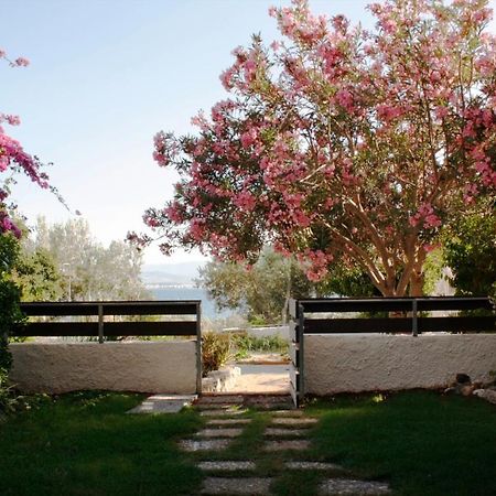 لوتراكي Beachfront Garden Apartment- Atlas Complex المظهر الخارجي الصورة